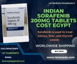 Indian Sorafenib 200mg Tablets Cost Egypt.jpg