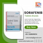 Sorafenib Tablets 200mg.jpg