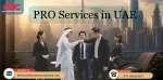 PRO-Services-in-UAE.png
