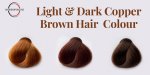 light & dark copper brown hair colour.jpg